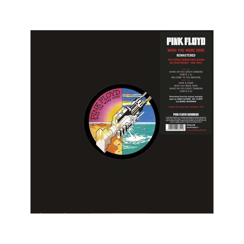 Pink Floyd: Wish You Were Here