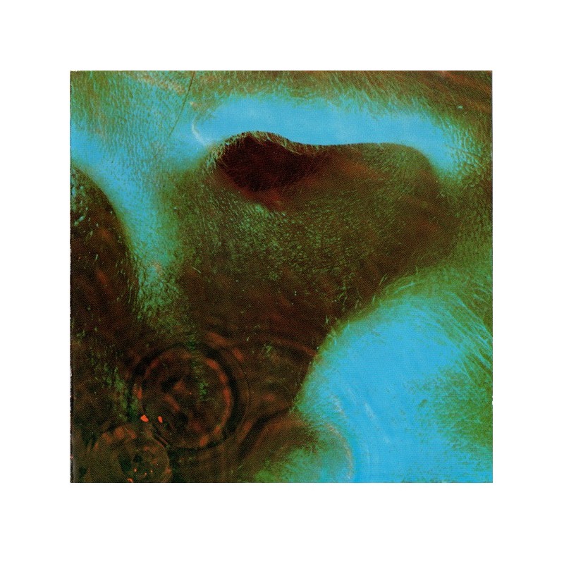 Pink Floyd: Meddle, Harvest, CD, 077774603423