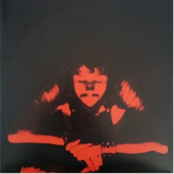 Cat Stevens – Tea For The Tillerman, LP gatefold, Island Records ORL-19135