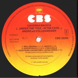 Andreas Vollenweider: Caverna Magica (...Under The Tree, In The Cave...), LP, CBS-25265