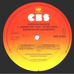 Andreas Vollenweider: Caverna Magica (...Under The Tree, In The Cave...), LP, CBS-25265
