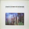 Double Image – In Lands I Never Saw, LP, Celestial Harmonies CEL-015