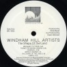 Windham Hill Artists – The Shape Of The Land, LP, Windham Hill Records 019341105510
