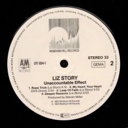 Liz Story – Unaccountable Effect, LP, Windham Hill Records 082837103413
