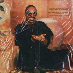 Stevie Wonder – In Square Circle, LP gatefold, Motown TMLP-6078