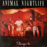 Animal Nightlife – Shangri-La, LP, Island Records ILPS-9830