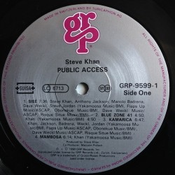 Steve Khan – Public Access, LP, GRP 011105959919
