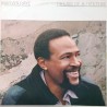 Marvin Gaye – Dream Of A Lifetime, LP, CBS 5099746308018