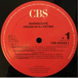 Marvin Gaye – Dream Of A Lifetime, LP, CBS 5099746308018