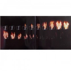 David Bowie – Ziggy Stardust - The Motion Picture, 2x LP gatefold, RCA PL-84862