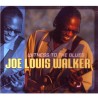 Joe Louis Walker – Witness To The Blues, CD digipack, DixieFrog DFGCD-8651