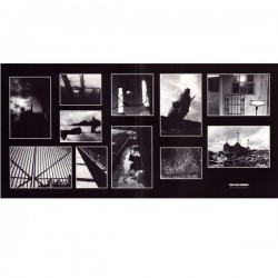 Pink Floyd: Animals (2018 remix), Pink Floyd Records, LP 180g. 0190295600532