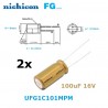 Nichicon FG 100uF/16V