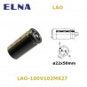 ELNA LAO 1000uF/100V