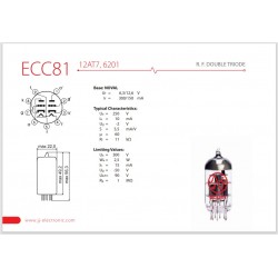 JJ Electronic ECC81 (12AT7)