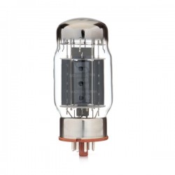 Svetlana ''S logo'' KT88