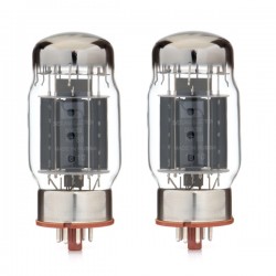 Svetlana ''S logo'' KT88