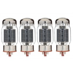 Svetlana ''S logo'' KT88