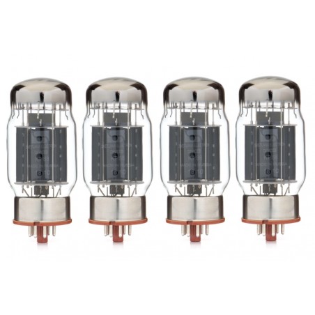 Svetlana ''S logo'' KT88