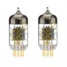 Gold Lion CV4004