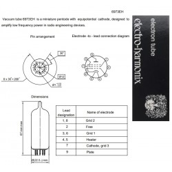 Electro Harmonix 6973
