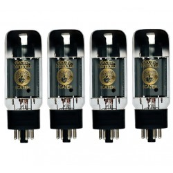 Electro Harmonix 6CA7