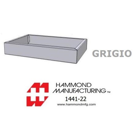 Hammond 1441-22