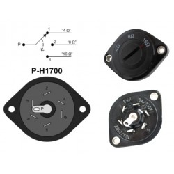 Cambio impedenza Marshall style