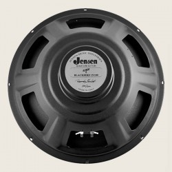 Jensen P15/100 Blackbird...