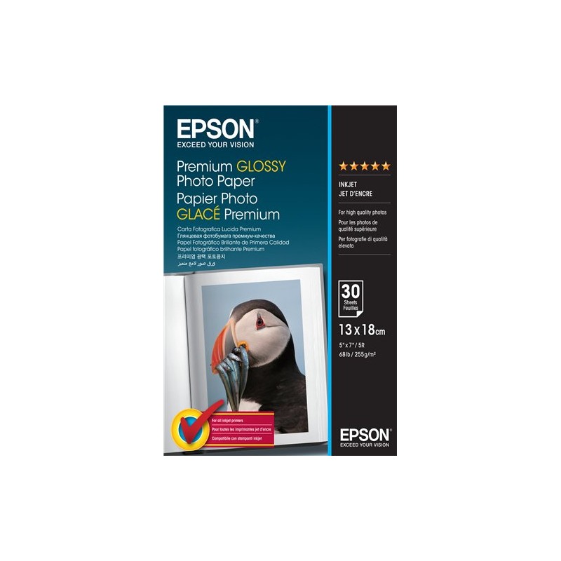 Epson C13S042154 Premium Glossy 30 Blatt