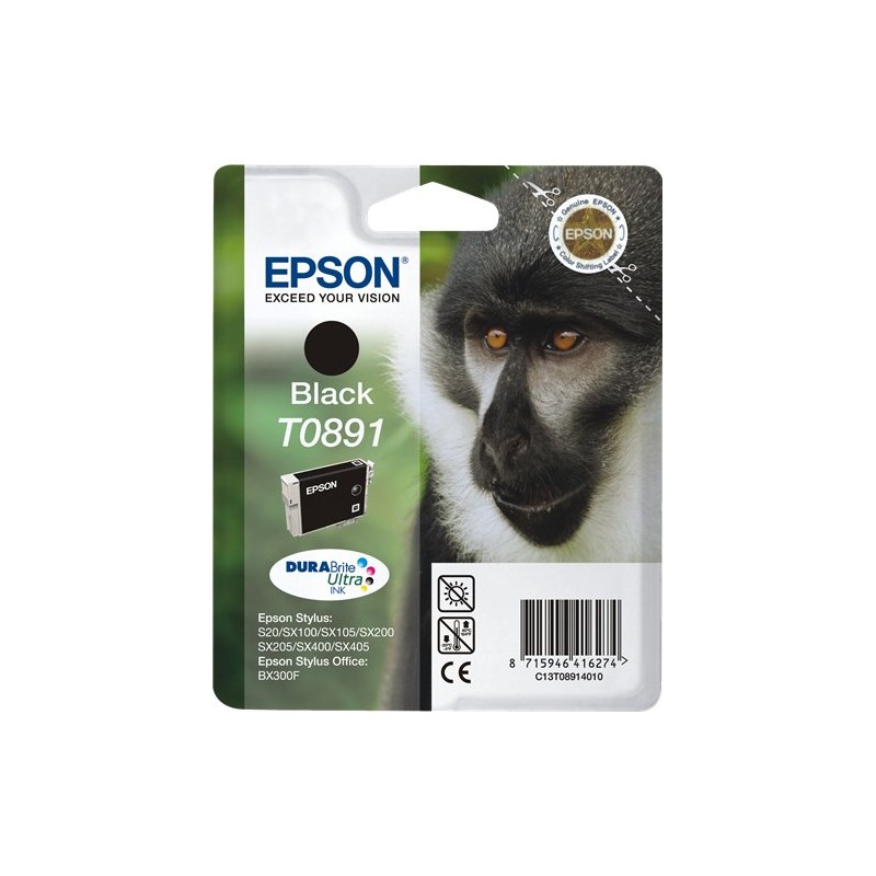 Epson C13T08914011 T0891