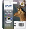 Epson C13T13064012 T1306