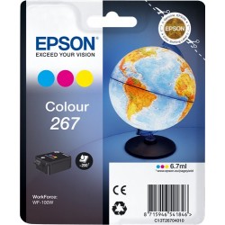 Epson C13T26704010 267