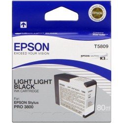 Epson C13T580900 T5809
