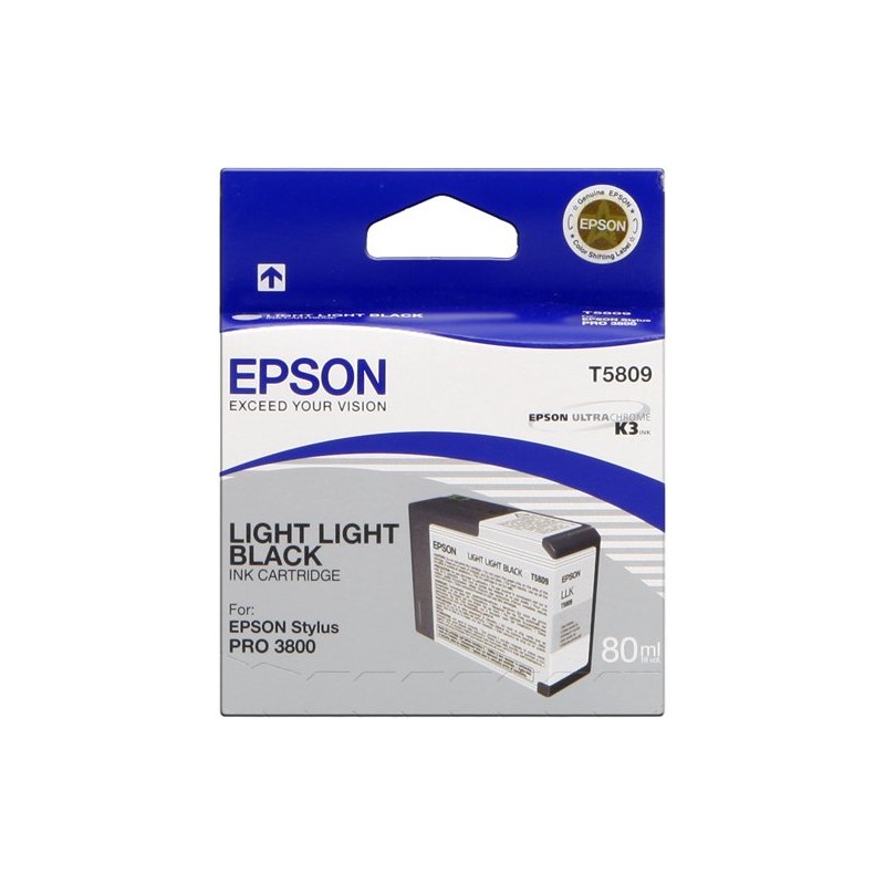 Epson C13T580900 T5809