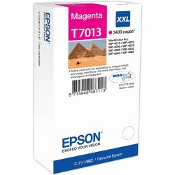 Epson C13T70134010 T7013 XXL