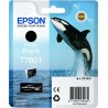 Epson C13T76014010 T7601