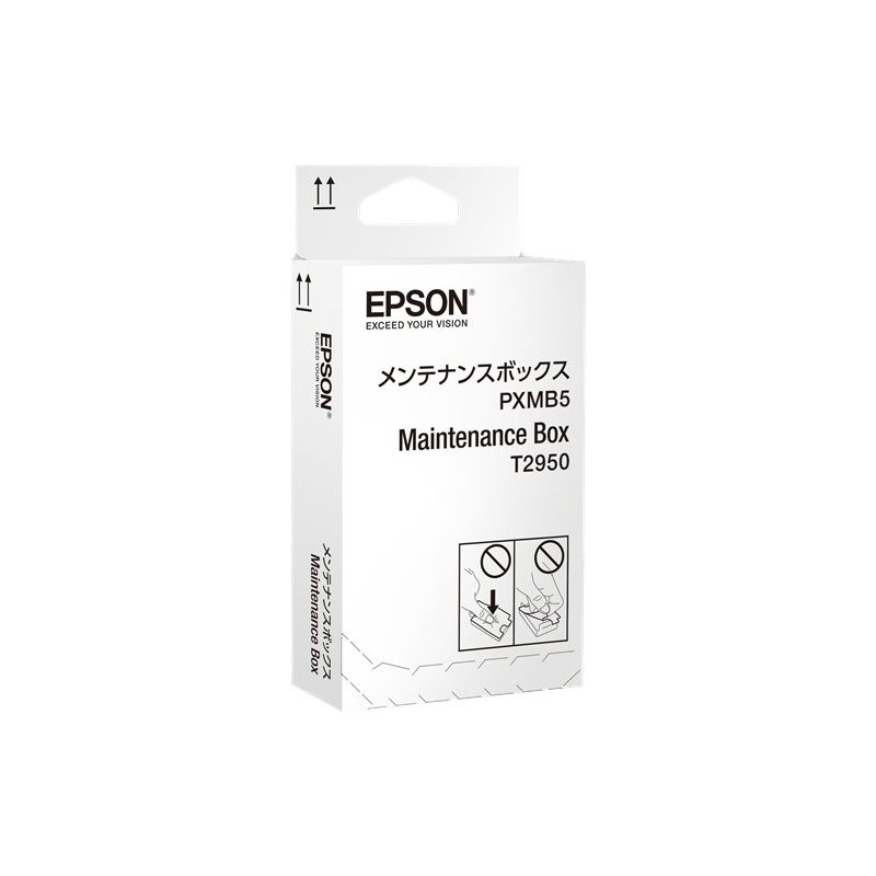 Epson T2950 C13T295000