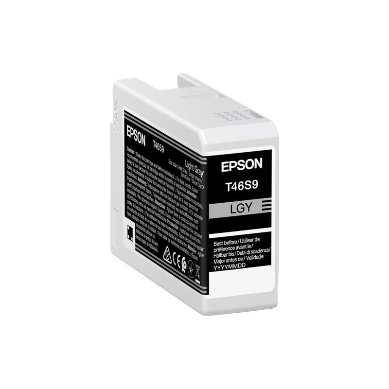 ORIGINAL Epson Cartuccia d'inchiostro grigio (chiaro) C13T46S900 T46S9 25ml