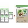ORIGINAL Prindo Value Pack nero / ciano / magenta / giallo PRSCPGI580_CLI581XXLG MCVP Green XXL ~9364 Seiten