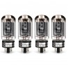 TAD 5881-CZ, selected amplifier tubes matched in QUAD
