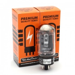 TAD 5881-CZ, valvole amplificatrici selezionate in COPPIA