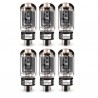 TAD 5881-CZ, selected amplifier tubes matched in SEXTET
