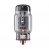 TAD KT88 RedBase, selected amplifier tube