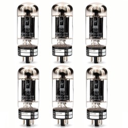 TAD Blackplate 6L6GC-STR,...