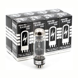 TAD EL34-STR Blackplate, selected amplifier tubes matched in OCTET
