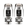 TAD KT88-STR Blackplate, selected amplifier tubes matched in PAIR