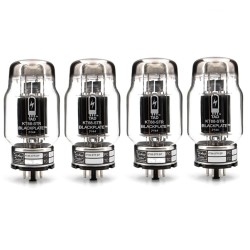 TAD KT88-STR Blackplate,...