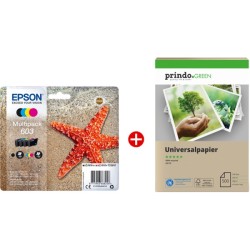 ORIGINAL Epson 603 MCVP 01...