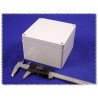 Hammond 1554P2GY
